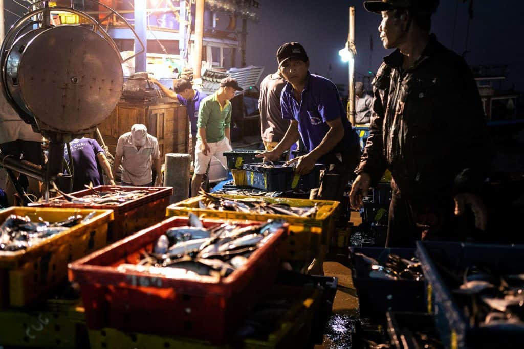 Fotografie-Reportage-Vietnam_HoiAn-Fishmarket-Marina_Schedler-Photography-003