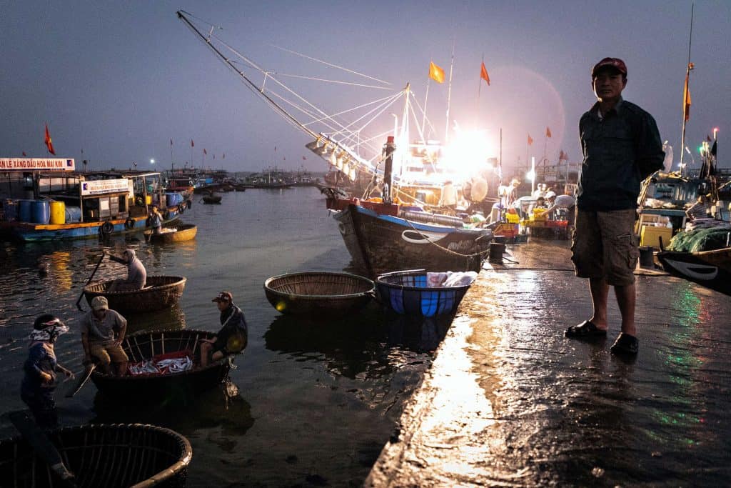 Fotografie-Reportage-Vietnam_HoiAn-Fishmarket-Marina_Schedler-Photography-005