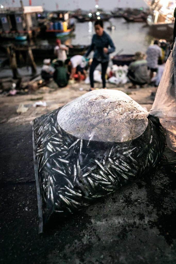 Fotografie-Reportage-Vietnam_HoiAn-Fishmarket-Marina_Schedler-Photography-009