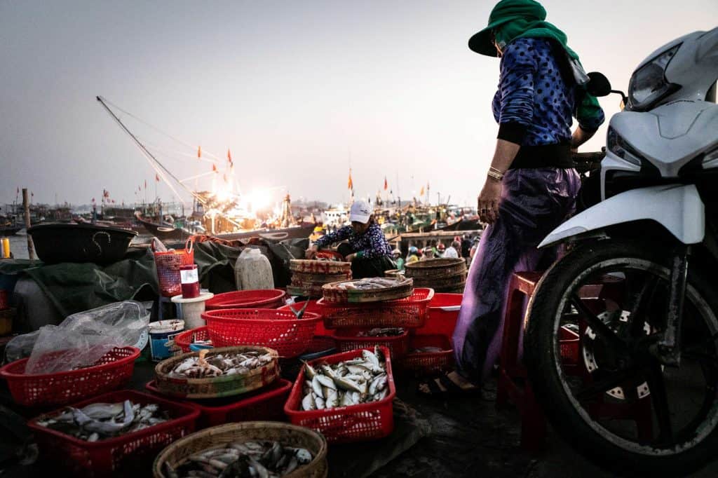 Fotografie-Reportage-Vietnam_HoiAn-Fishmarket-Marina_Schedler-Photography-010