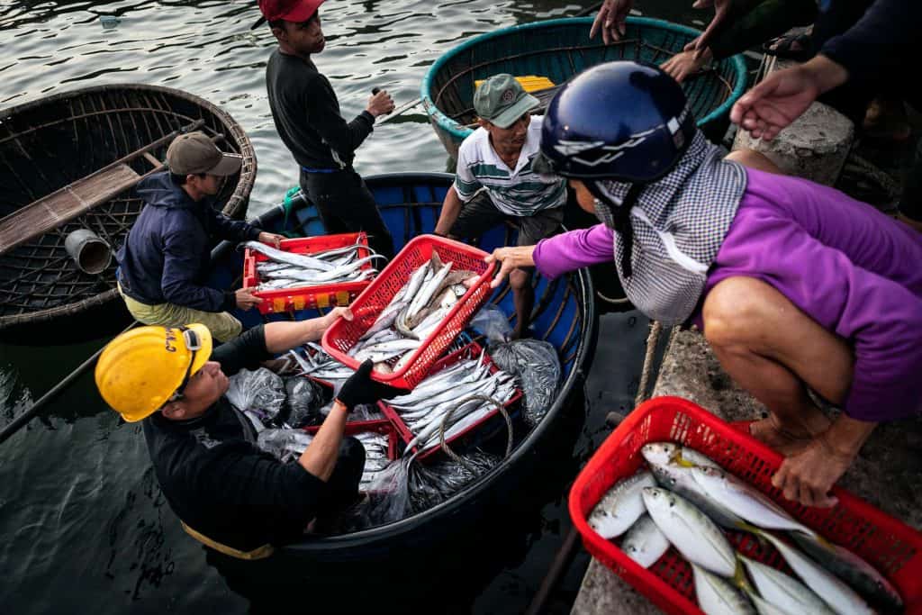 Fotografie-Reportage-Vietnam_HoiAn-Fishmarket-Marina_Schedler-Photography-013