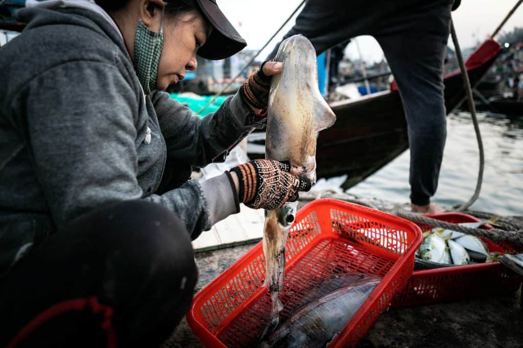 Fotografie-Reportage-Vietnam_HoiAn-Fishmarket-Marina_Schedler-Photography-016