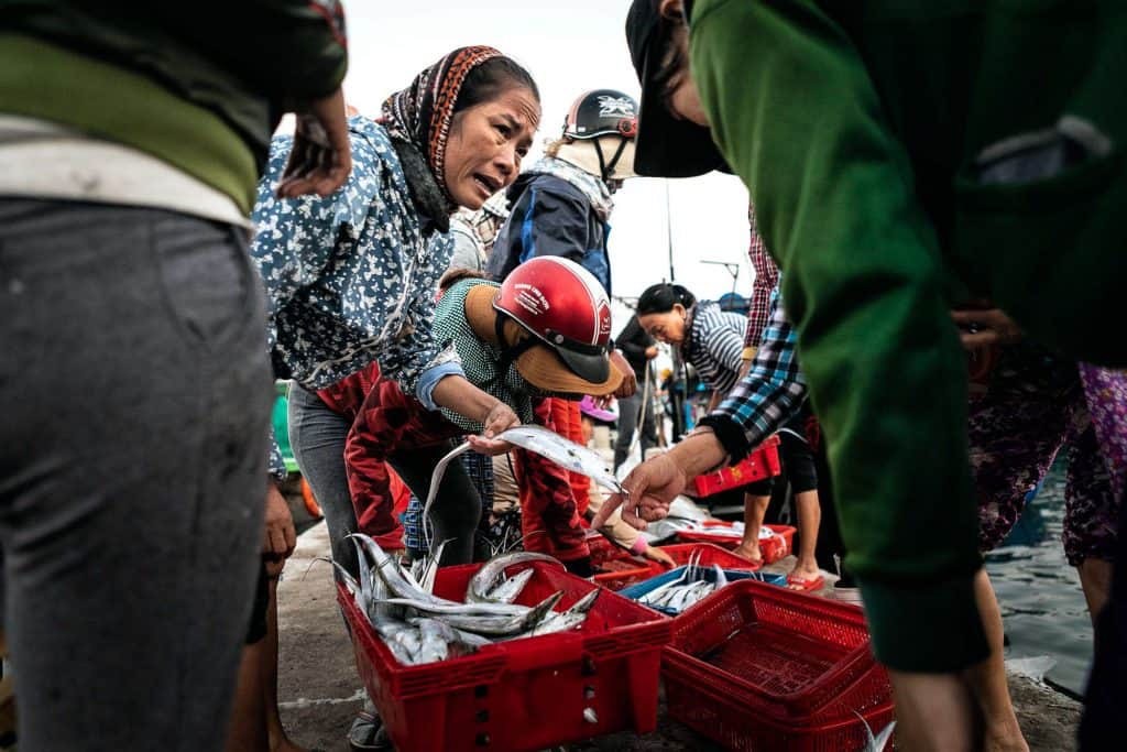 Fotografie-Reportage-Vietnam_HoiAn-Fishmarket-Marina_Schedler-Photography-017