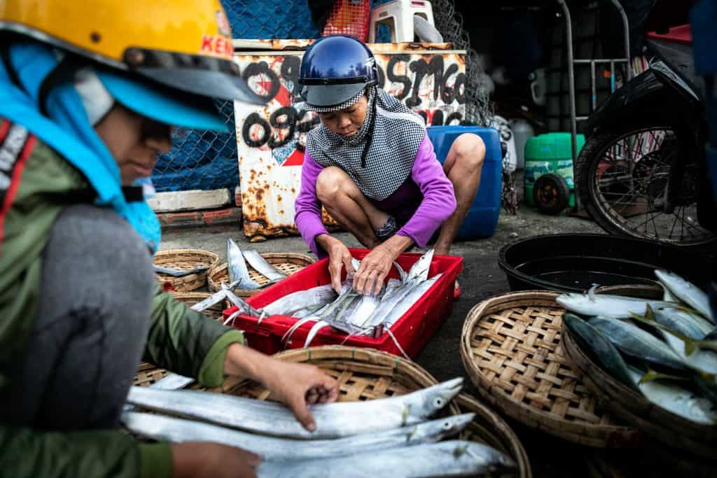 Fotografie-Reportage-Vietnam_HoiAn-Fishmarket-Marina_Schedler-Photography-022