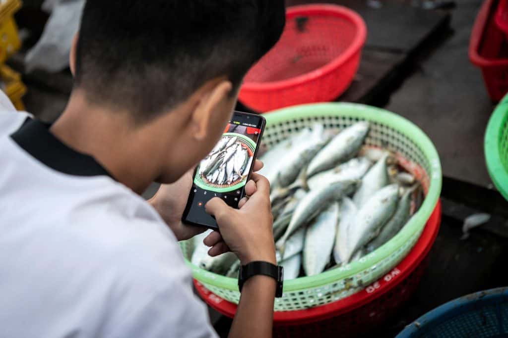 Fotografie-Reportage-Vietnam_HoiAn-Fishmarket-Marina_Schedler-Photography-024