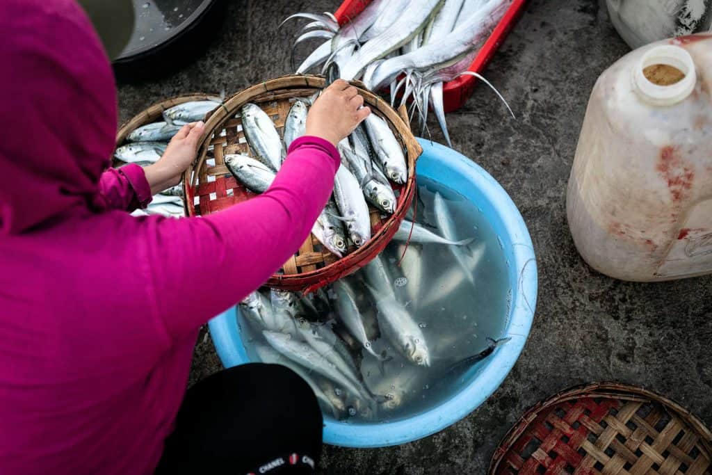 Fotografie-Reportage-Vietnam_HoiAn-Fishmarket-Marina_Schedler-Photography-025