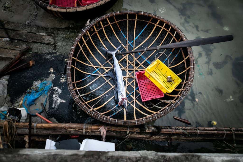 Fotografie-Reportage-Vietnam_HoiAn-Fishmarket-Marina_Schedler-Photography-026